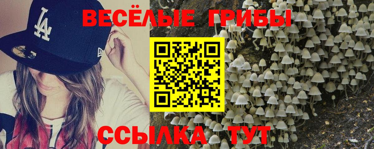 Галлюциногенные грибы Magic Shrooms Ликино-Дулёво